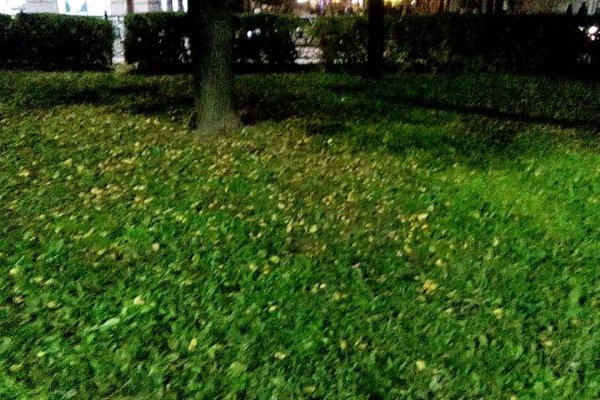 Что такое кракен маркетплейс курительный смесс