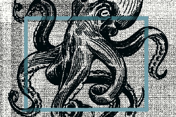 Kraken 18at