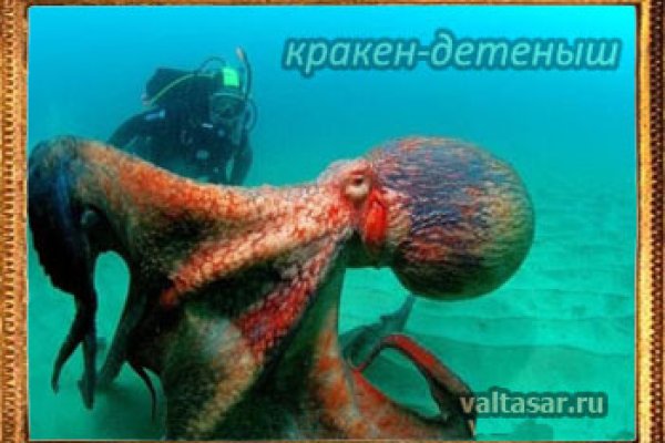 Kraken ссылка kraken clear com