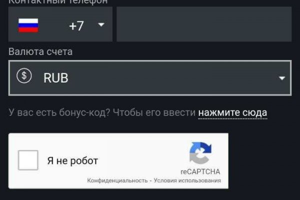 Kraken 24 top