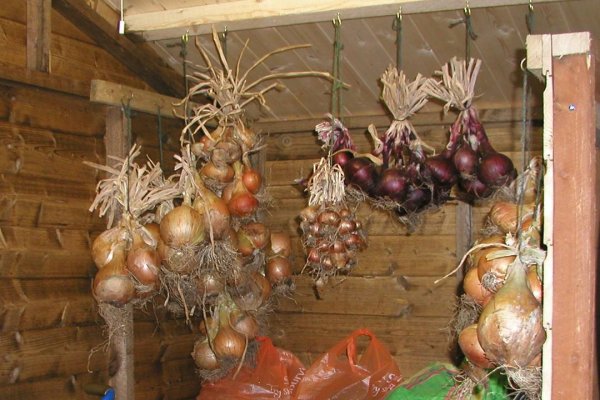 Ссылки на кракен мегу